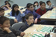 Chess Students of Roman Pelts